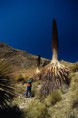 /album/fotogalerie-homepage/puya-jpg/